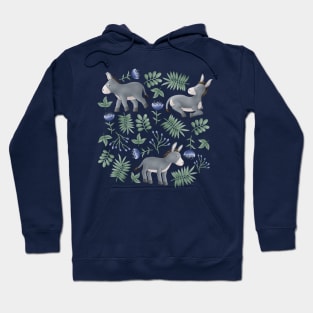 Wild donkeys Hoodie